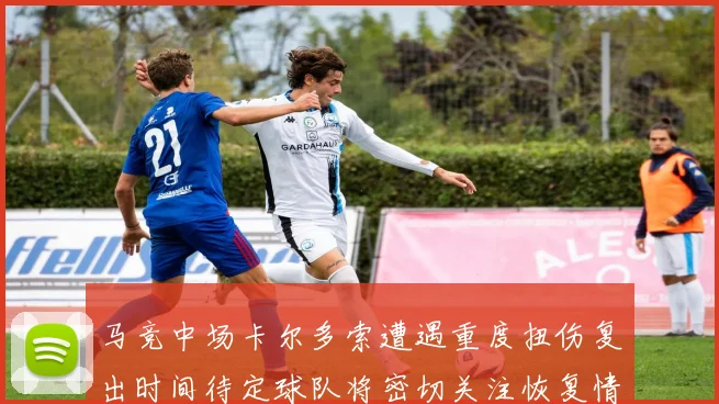 马竞中场卡尔多索遭遇重度扭伤复出时间待定球队将密切关注恢复情况