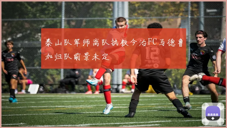 泰山队军师离队执教今治FC马德鲁加归队前景未定
